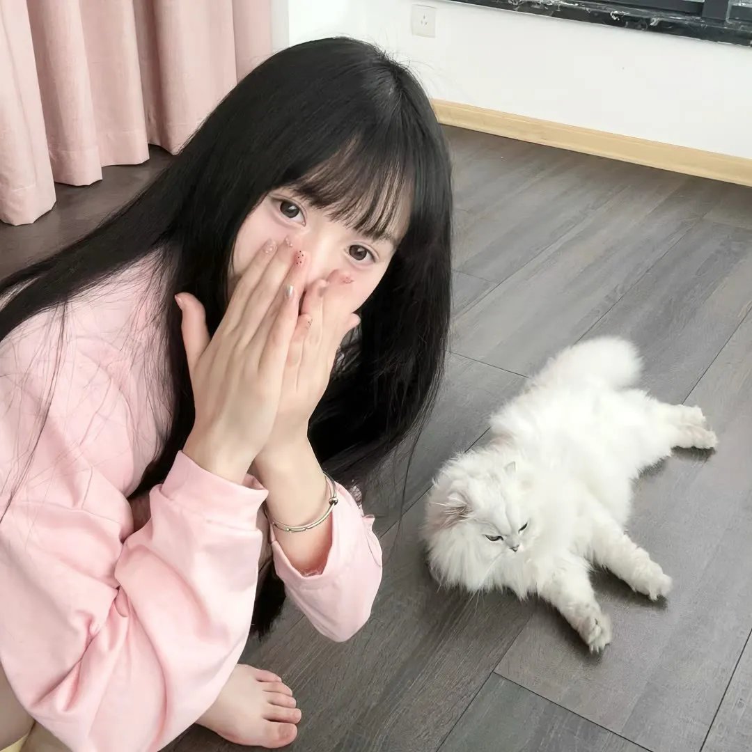 死在岩石上